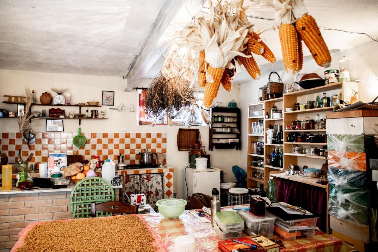 Pensjonat Country Living School Làconi Zewnętrze zdjęcie